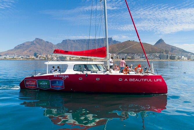 1- Hour Catamaran Cruise Cape Town - Key things I’d plan around