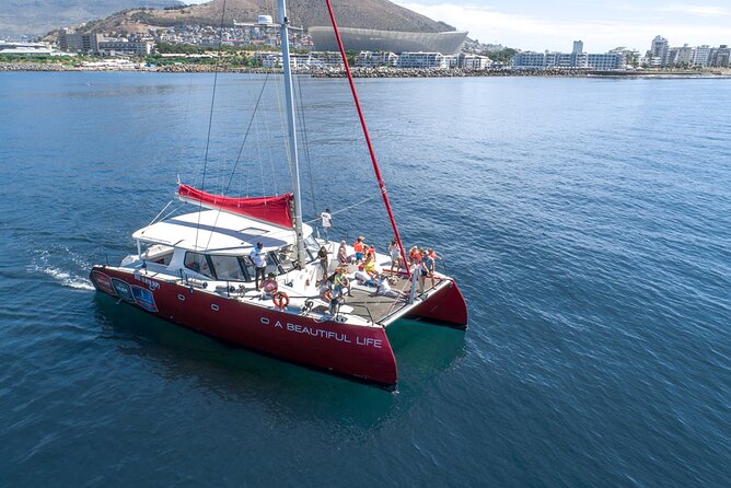 1- Hour Catamaran Cruise Cape Town - The boat: a 53-foot catamaran on the newest vessel