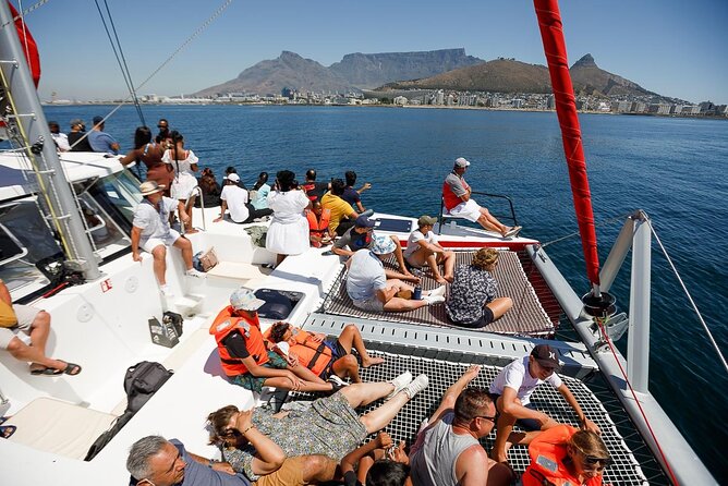 1- Hour Catamaran Cruise Cape Town - The rhythm of the cruise: 60 minutes that don’t feel rushed