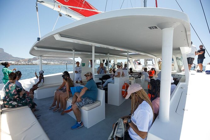 1- Hour Catamaran Cruise Cape Town - Price and value: why this one-hour cruise often feels like a smart buy