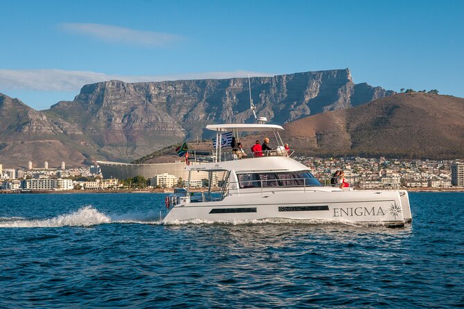 1 Hour Coastal Catamaran Cruise from Cape Town - From V&A Waterfront to Green Point lighthouse: the ride route that matters