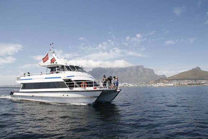 1 Hour Coastal Catamaran Cruise from Cape Town - Views of Table Mountain and the city from the water