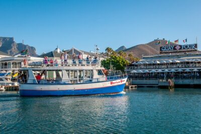 1 Hour Coastal Catamaran Cruise from Cape Town - The one-hour timing: why this is great for first-timers and busy days