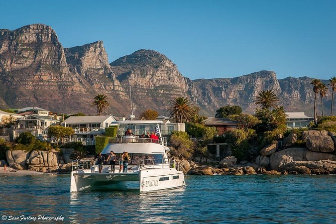 1 Hour Coastal Catamaran Cruise from Cape Town - Morning vs afternoon: picking a departure time that fits your goals
