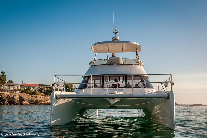 1 Hour Coastal Catamaran Cruise from Cape Town - Meeting point reality: what to do when boarding time hits