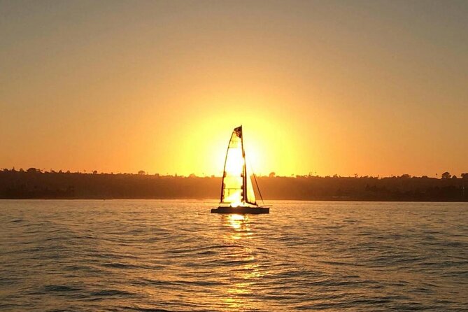 2.5-Hour Small-Group Catamaran Sunset Sail with Drinks - What You’ll See: Sea Lions, Seabirds, and Dolphins When Lucky