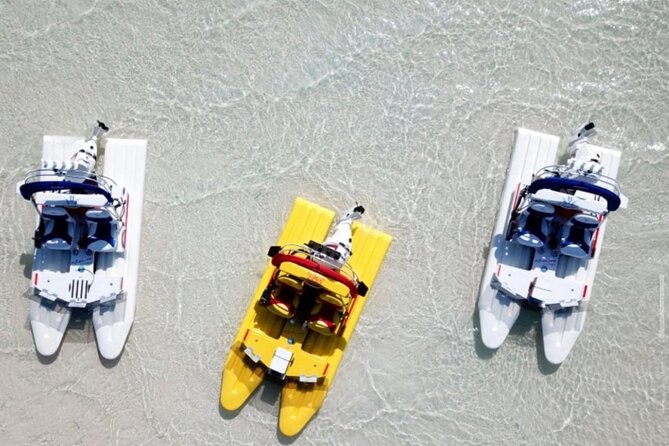 2 Hour Key West Mini Catamaran Eco Tour - Key West Mini Catamaran Eco Tour Highlights