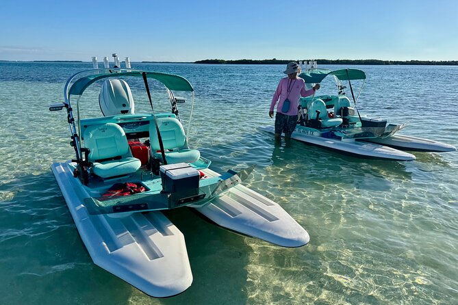 2 Hour Key West Mini Catamaran Eco Tour - Why This Mini Catamaran Eco Tour Feels More Like Real Water Time