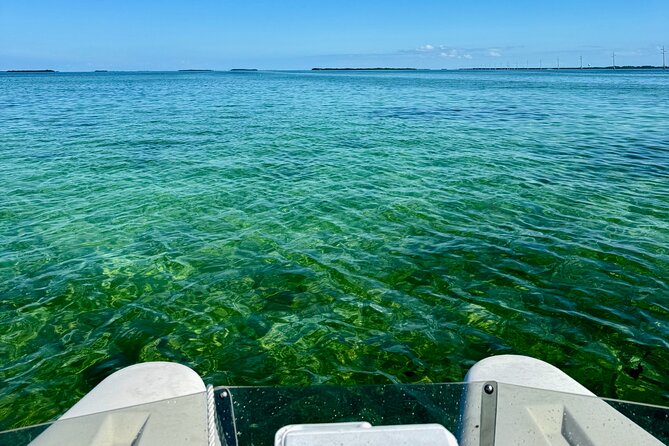 2 Hour Key West Mini Catamaran Eco Tour - Stop 3 Secluded Backcountry Islands: Quiet Coast Without the Usual Buzz