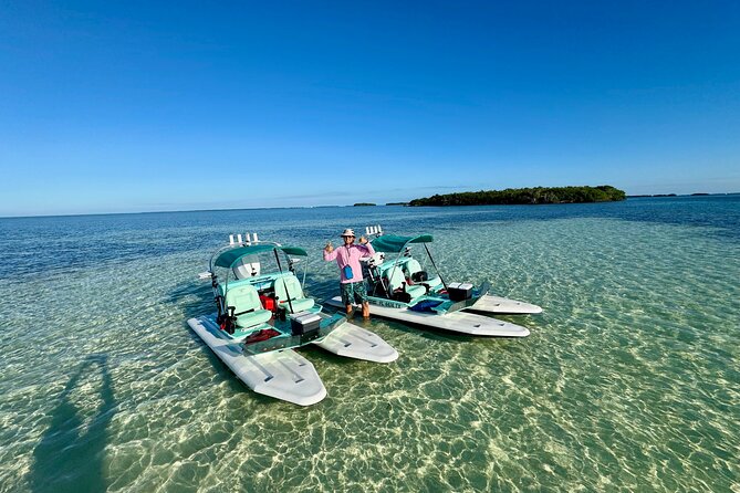 2 Hour Key West Mini Catamaran Eco Tour - Stop 1 Mangrove Channels: Birds, Shade, and a Slower Kind of Sighting