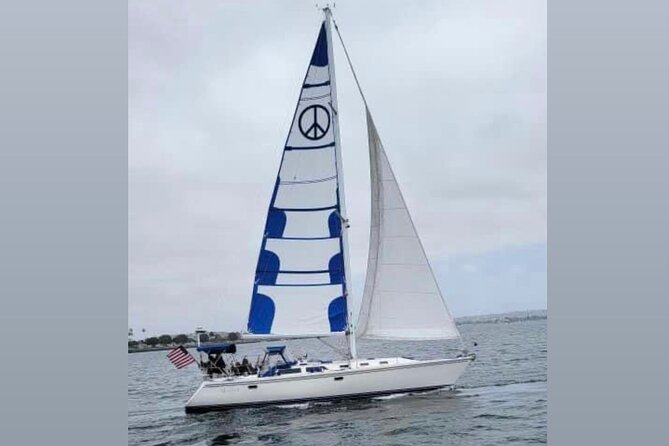 2-Hour Private Sailing Experience in San Diego Bay - Wildlife and Photo Chances: Sea Lions, Birds, and Coastal Sights