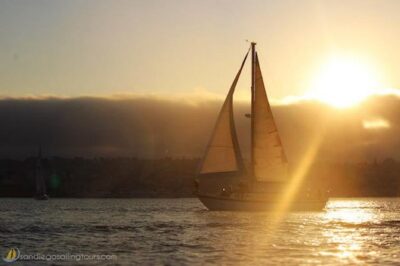 2-Hour Sunset Sail from San Diego - Entering San Diego’s Harbor Scene at 1450 Harbor Island Dr