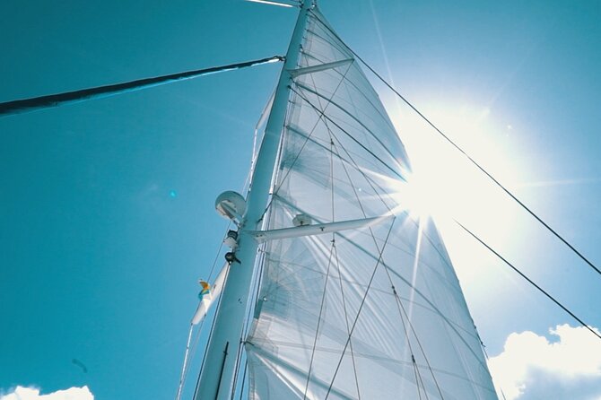 2hrs Dolphins Sunset Sailing Cruise With Drink - Key points before you book