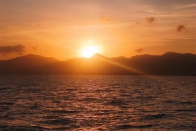 2hrs Dolphins Sunset Sailing Cruise With Drink - The boarding moment: mojito first, questions later