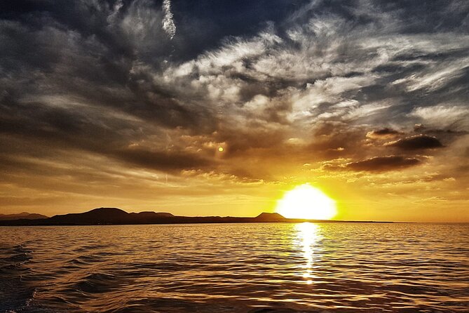 2hrs Dolphins Sunset Sailing Cruise With Drink - The sailing segment: what you’ll see during the sunset cruise