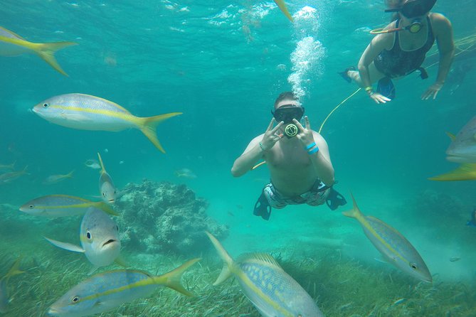 3 ADVENTURES: Sailing Catamaran Cruise - Hooka Diving - Snorkeling - Punta Cana’s 4-hour party cruise: why it’s a smart pick