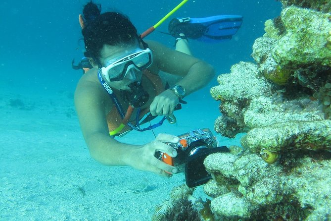 3 ADVENTURES: Sailing Catamaran Cruise - Hooka Diving - Snorkeling - Hooka diving: easy entry with experts, but confirm your equipment
