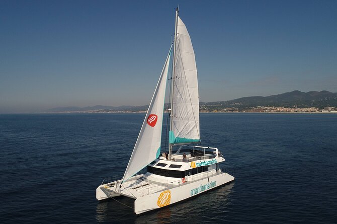 3-Hours Catamaran Tour in Malaga with Paella - Who This Catamaran Paella Tour Fits Best