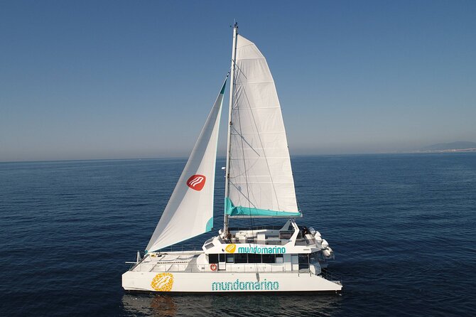 3-Hours Catamaran Tour in Malaga with Paella - Malagueta Beach Views From the Water: The Big Payoff