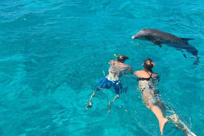 4-Hour Catamaran Sail and Snorkel Tour from Grace Bay - Lunch, Rum Punch, and the Onboard Party That Doesn’t Feel Like a Party