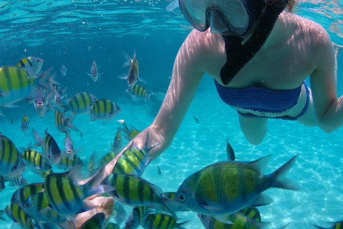 4-Hour Catamaran Sail and Snorkel Tour from Grace Bay - How the Timing Works in a Four-Hour Half-Day