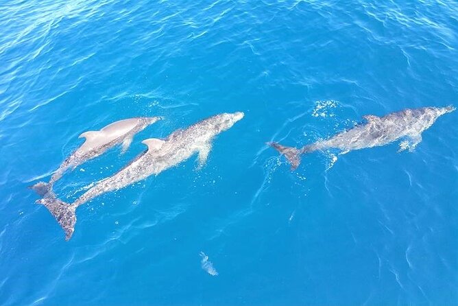 4-Hour Fort Lauderdale Sailing Charter - Price and Value: Is $148 Per Person Worth It for 4 Hours?
