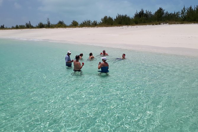 4 Hour Private Catamaran Sail and Snorkel from Grace Bay Beach, Providenciales - Half Moon Bay or Little Water Cay: sandbar walking and rock iguanas