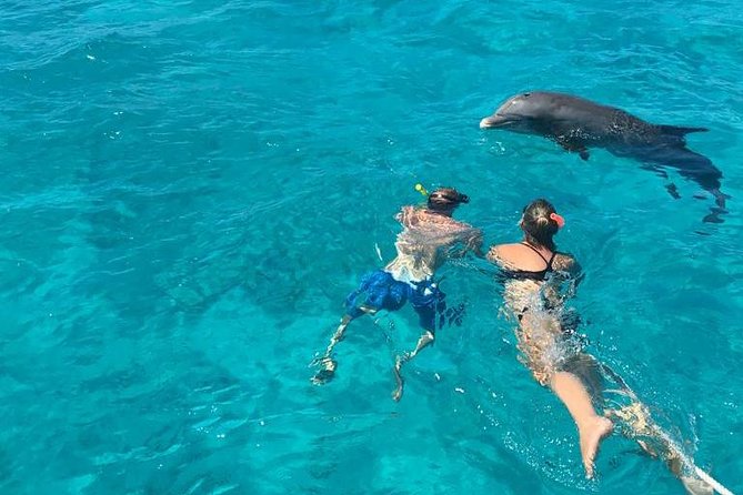 4 Hour Private Catamaran Sail and Snorkel from Grace Bay Beach, Providenciales - Price and value: what $2,380 means for up to 12 people