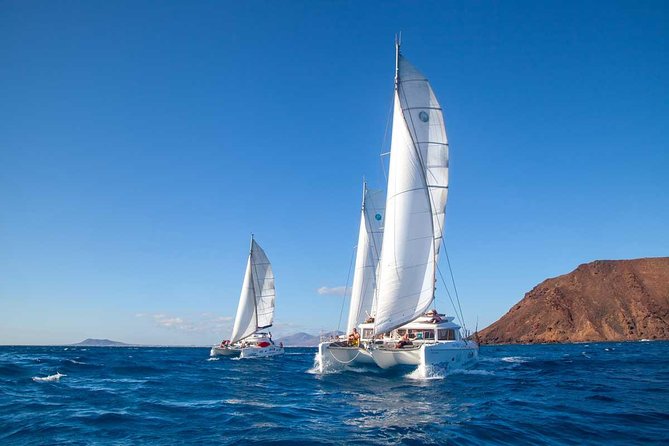 4-Hour Sailing Tour of Lobos Island from Fuerteventura - Should you book the Lobos Island sailing with FuerteCharter?