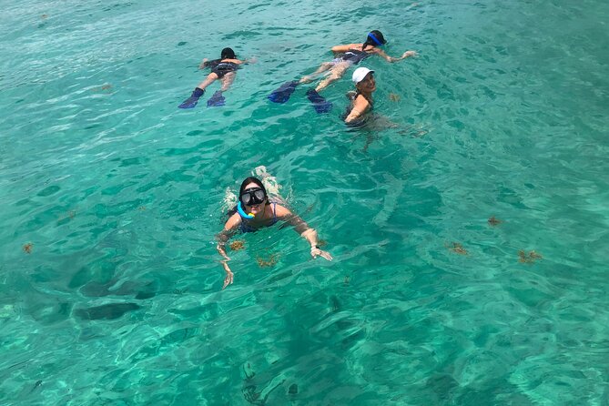 4 hours - Private 48ft Yacht all inclusive in Tulum and Playa del Carmen - Should You Book This Private 48ft Yacht Cruise?