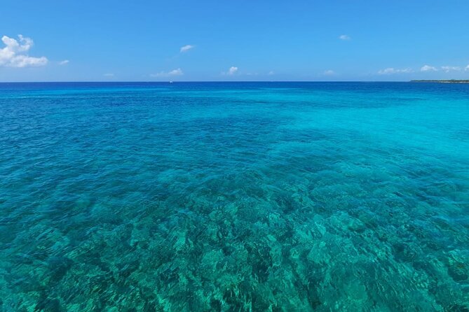 4H Luxury 44' Catamaran All-Inclusive in Tulum & Playa del Carmen - The 44-Foot Catamaran Setup: Space, Comfort, and What’s Provided