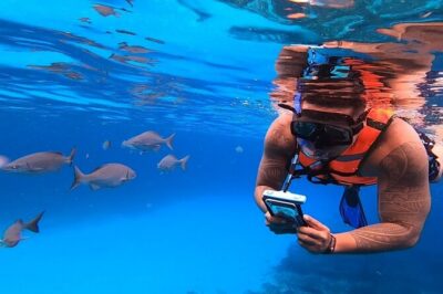 4H Luxury 44' Catamaran All-Inclusive in Tulum & Playa del Carmen - In-Ha Reef: Why the Snorkeling Time Here Works for Most People