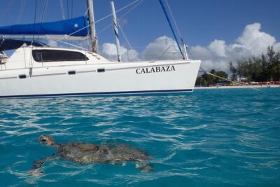 5-Hour Small-Group Catamaran Cruise from Bridgetown with Lunch - Price and Value: What $175 Really Buys on This Cruise