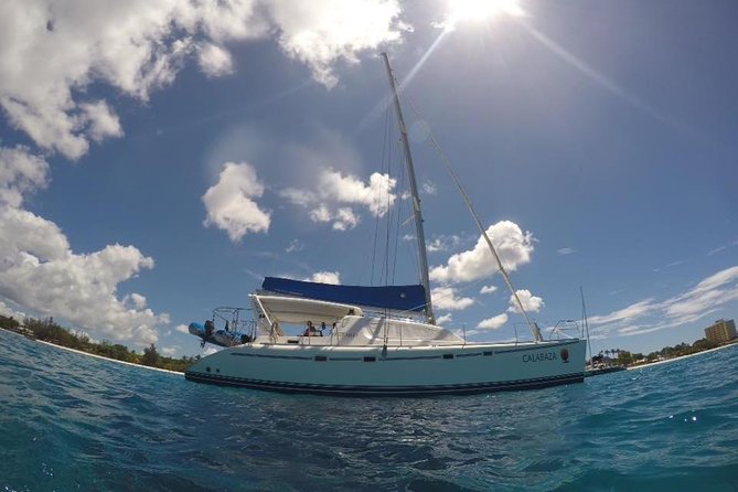 5-Hour Small-Group Catamaran Cruise from Bridgetown with Lunch - Snorkeling Plan: Turtles First, Then Reef or Shipwreck