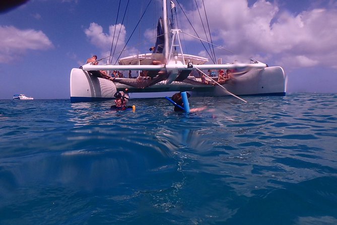 5-Hour Small-Group Catamaran Cruise from Bridgetown with Lunch - What to Bring for a Comfortable Turtle Day