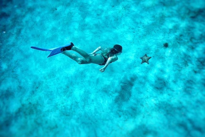 5-Hour Small-Group Catamaran Cruise from Bridgetown with Lunch - Who This Tour Suits Best (and Who Might Want to Think Twice)