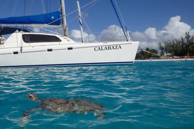5-Hour Small-Group Catamaran Cruise from Bridgetown with Lunch - Price and Value: What $175 Really Buys on This Cruise