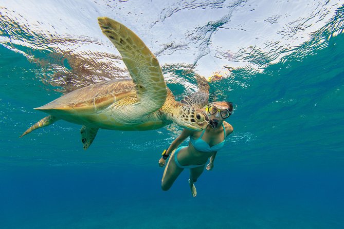 50' Luxury Yacht. Private Full or Half Day Catamaran Snorkel, & Beach Experience - Wind, timing, and getting real value from 4 to 7 hours