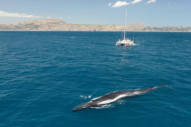 A day at sea from Dénia or Jávea with Barbecue aboard the Catamaran - Practical tips: how to get the best day (without stress)