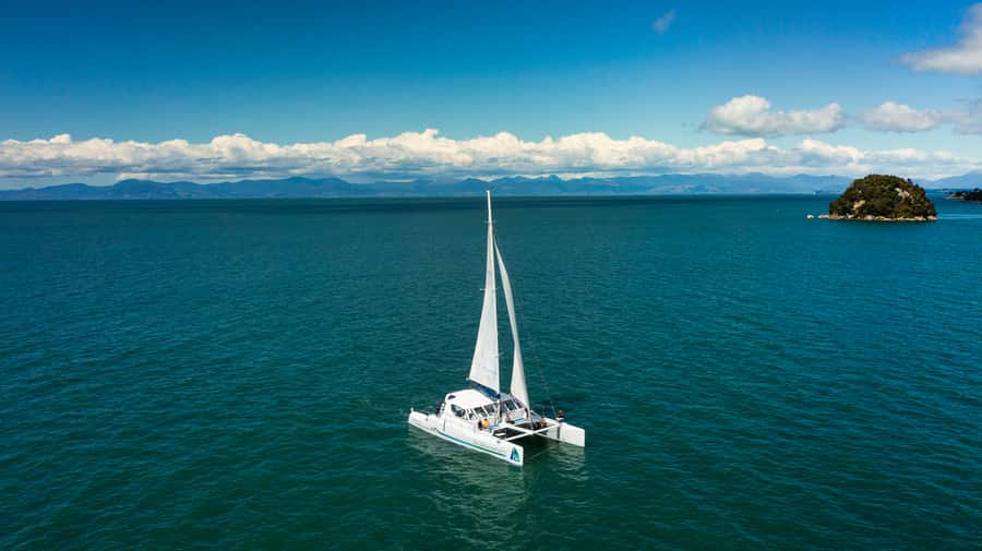 Abel Tasman National Park: Cruise, Walk & Sailing Tour - Te Pukatea Bay time: beach moments and wildlife spotting