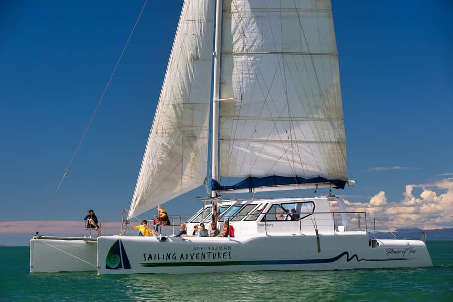 Abel Tasman National Park: Cruise, Walk & Sailing Tour - Booking decision: should you book the Abel Tasman Cruise, Walk & Sailing?