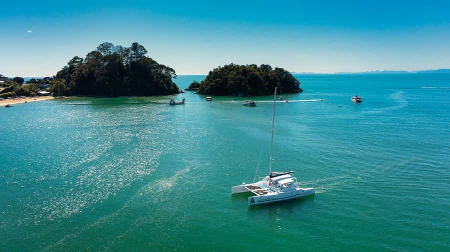 Abel Tasman National Park: Cruise, Walk & Sailing Tour - The Pitt Head Loop walk: easy on paper, stunning on the ground