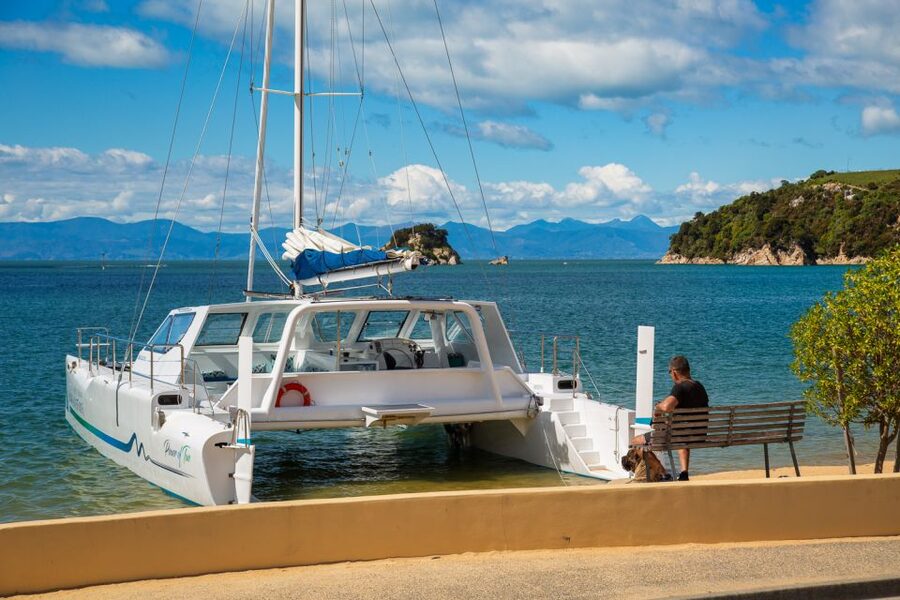 Abel Tasman National Park: Day Sailing Adventure with Lunch - Value check: is $158 per person worth it?