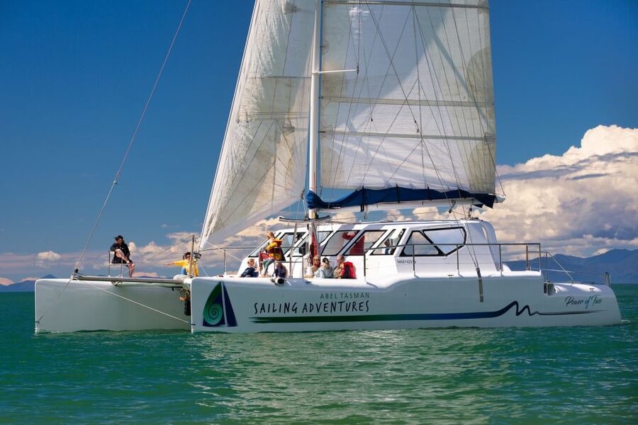 Abel Tasman National Park: Day Sailing Adventure with Lunch - Adele Island fur seals: the wildlife stop that steals the show
