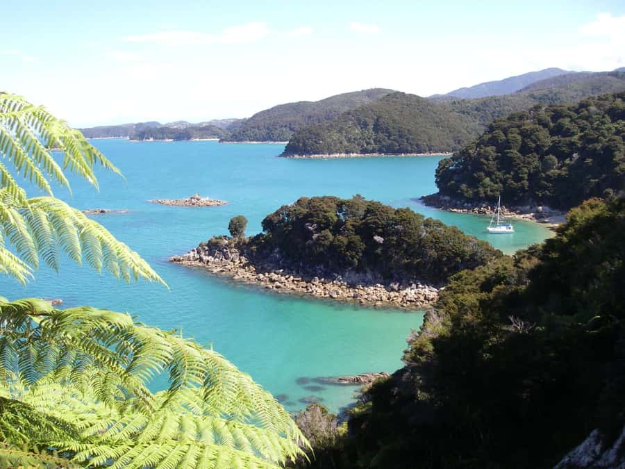 Abel Tasman National Park: Sailing and Self-Guided Walk - Key highlights you’ll feel on day one