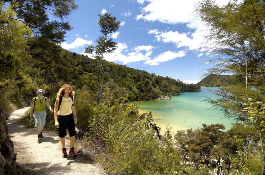 Abel Tasman National Park: Sailing and Self-Guided Walk - Price and value: is $80 per person worth it?