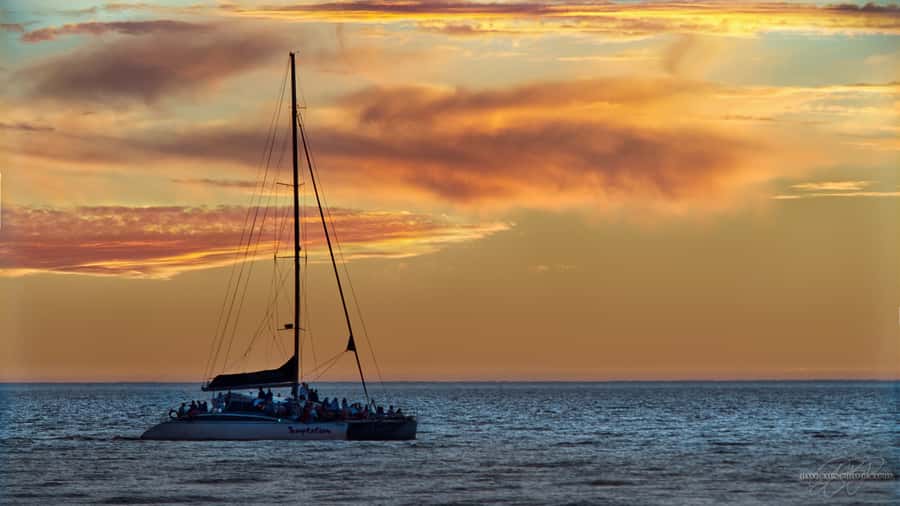 Adelaide: Glenelg Twilight Catamaran Cruise with Drink - Crew and safety: the part you’ll thank yourself for