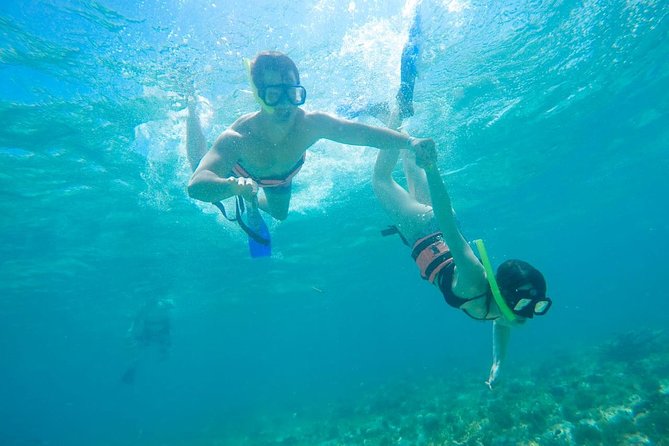 Afternoon Half-Day Catmaran Sailing and Snorkel Adventure - Snorkeling Near Isla Mujeres: Expect Real Water Conditions