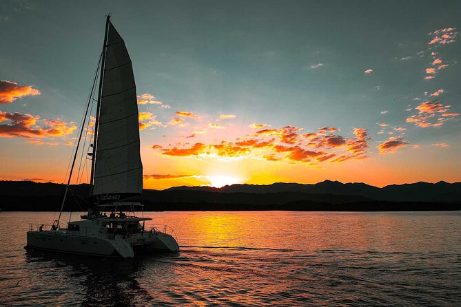 Afternoon Low Isles Snorkelling & Sunset Sail from Port Douglas - Guided Snorkelling: What You’ll Be Looking For