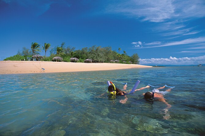 Afternoon Low Isles Snorkelling & Sunset Sail from Port Douglas - Glass-Bottom Boat vs Staying On Deck: How to Choose